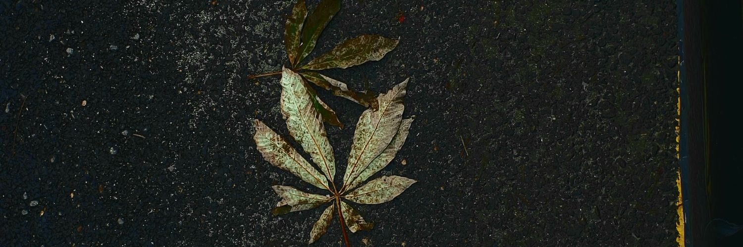 hikmatafridi's profile banner image