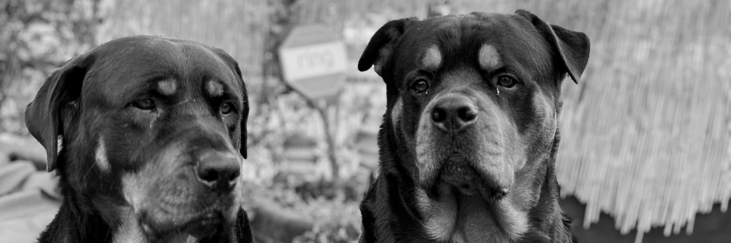 _maaaayyy's profile banner image