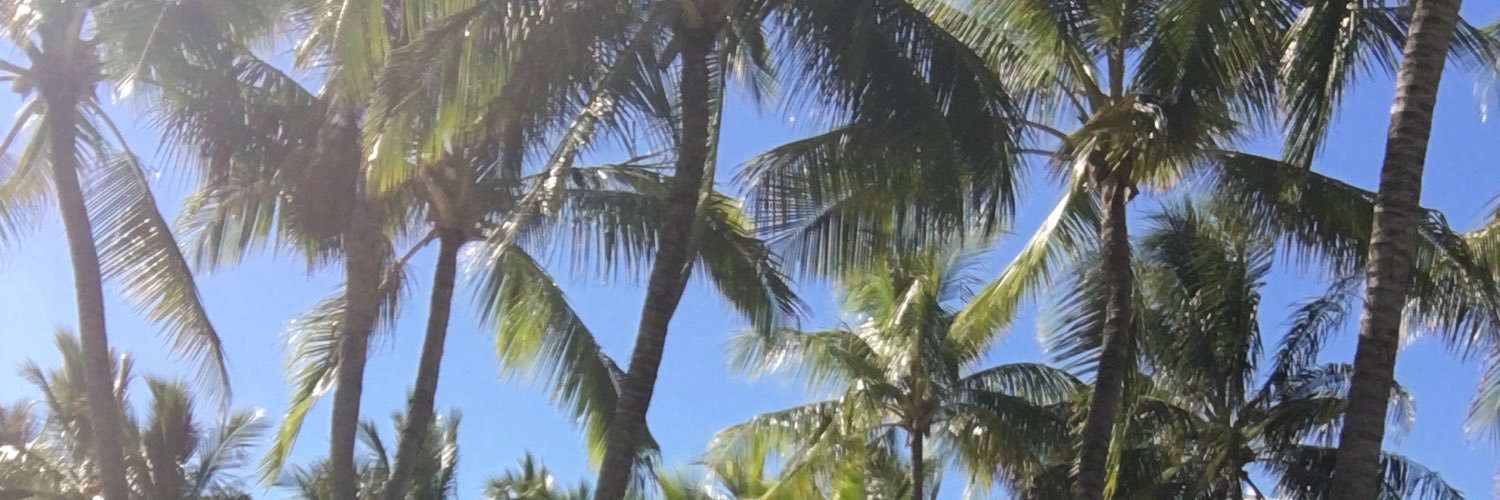 laaavinia__'s profile banner image