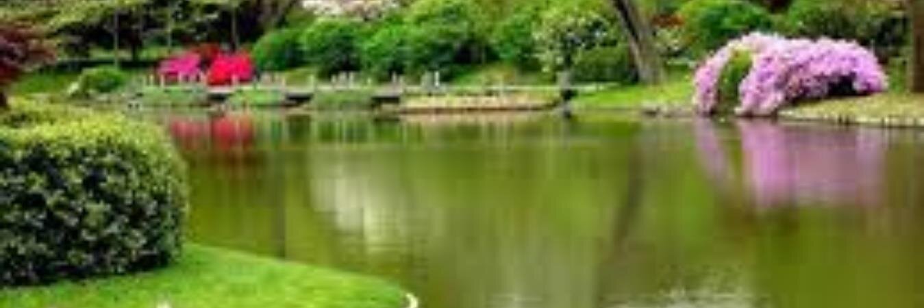 Eng_Harthi's profile banner image