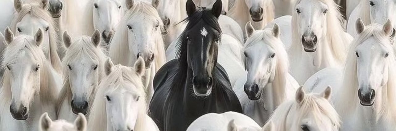 cigdemevin's profile banner image
