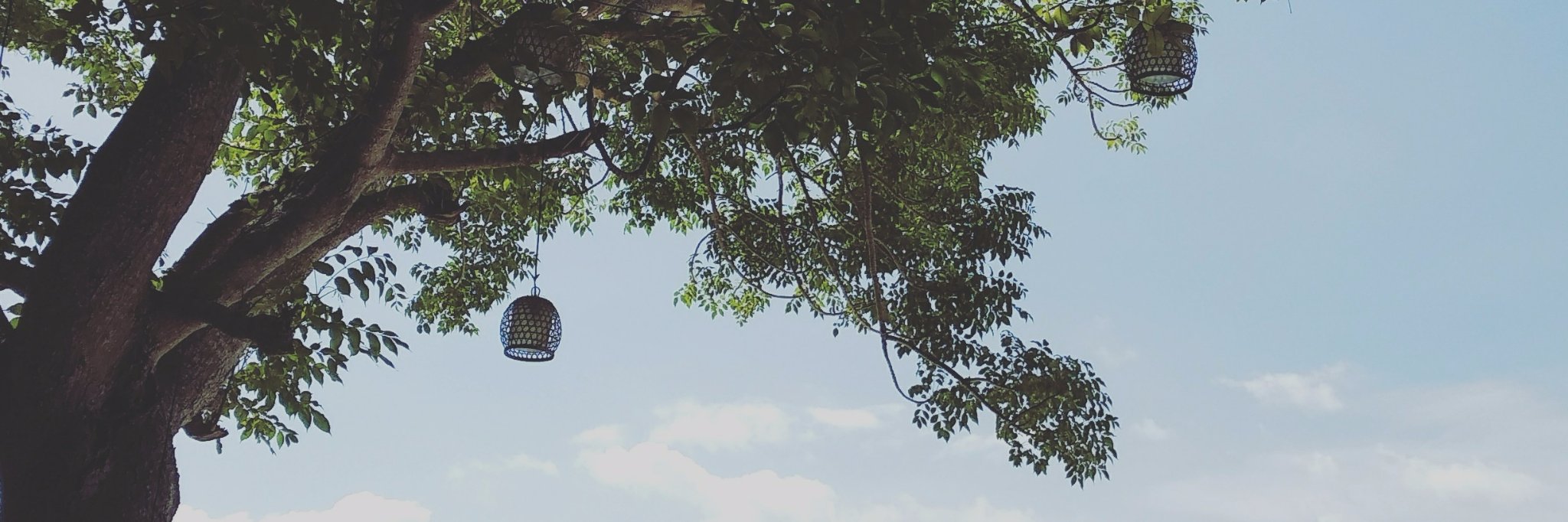 Tudisrlpt's profile banner image