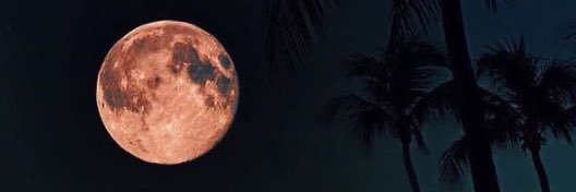 a_lea_lea's profile banner image