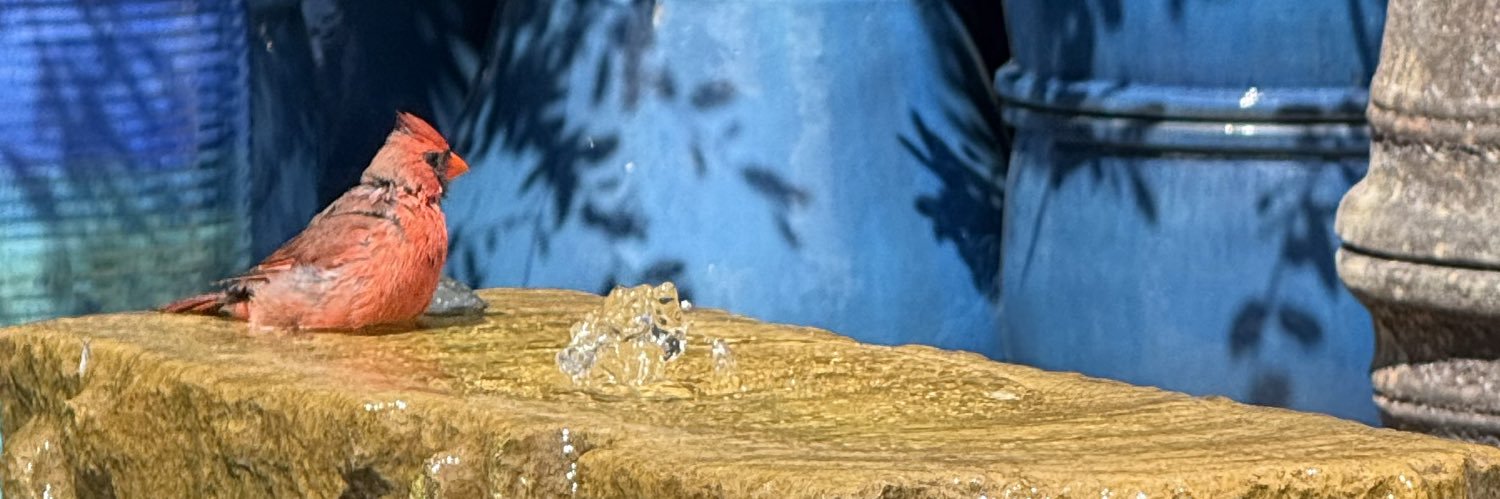 havieeeee's profile banner image
