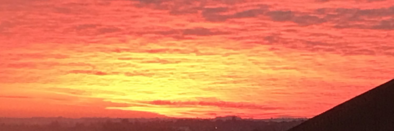 Chris Harrison banner