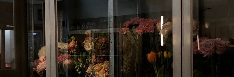 moolii11's profile banner image