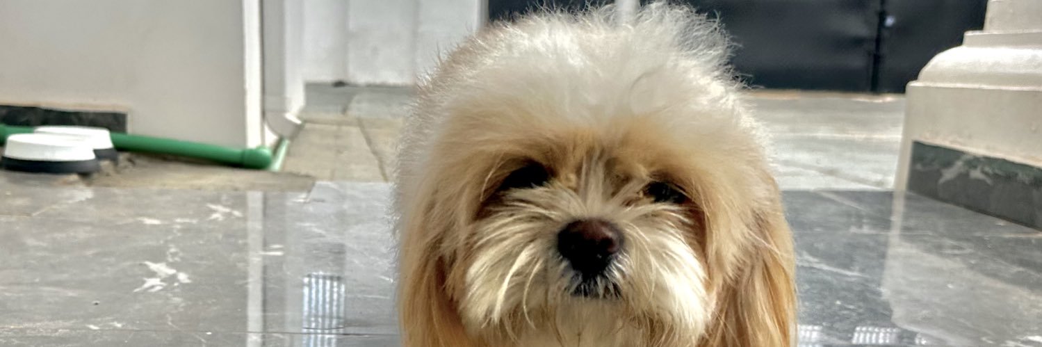 Olusholz_'s profile banner image