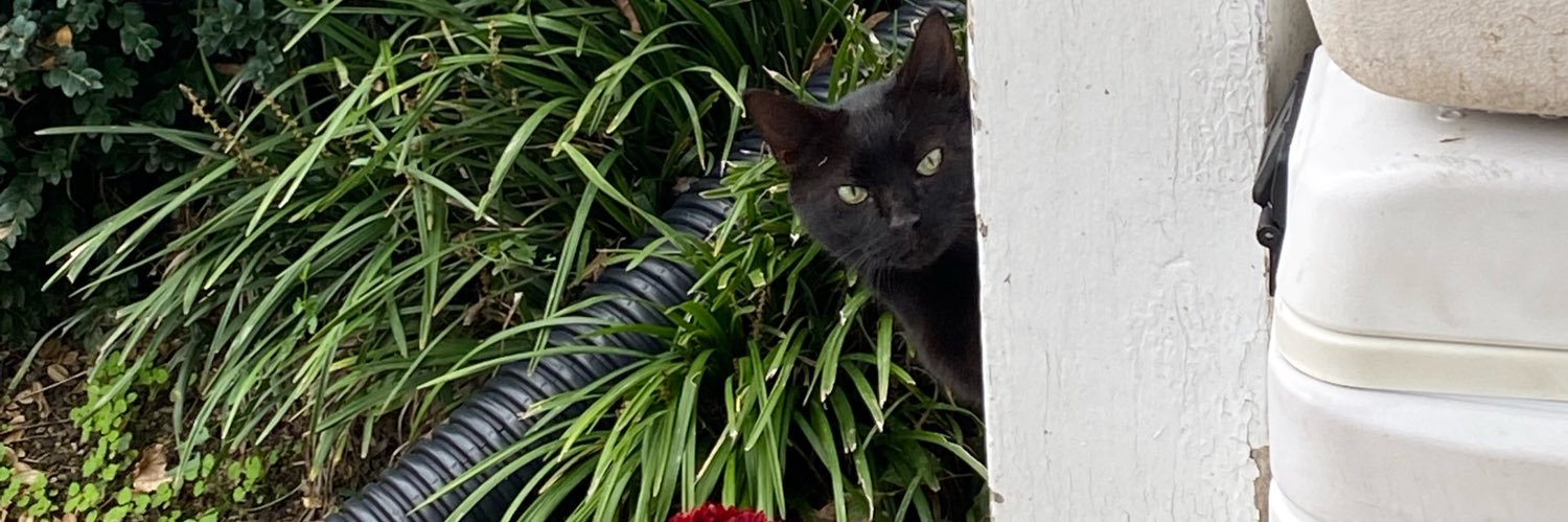 greyst0n's profile banner image