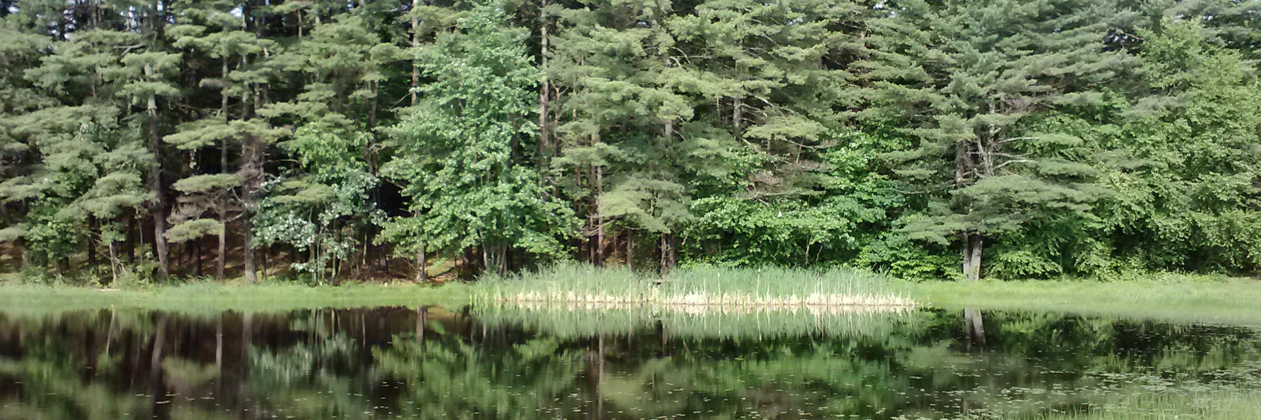 laureen_mchugh's profile banner image