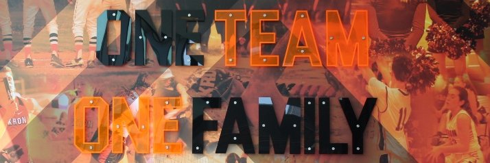 Home of the Tigers's banner