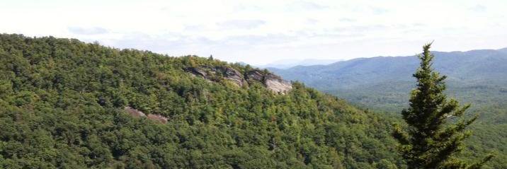 outsidemurray's profile banner image