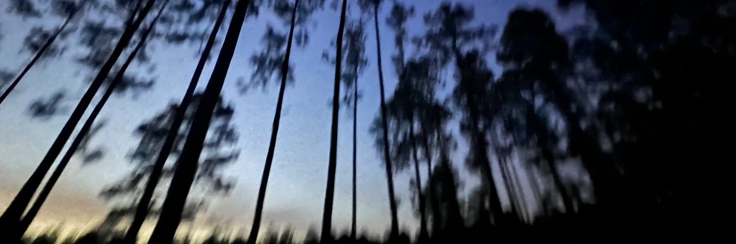 SteeloCayy_'s profile banner image