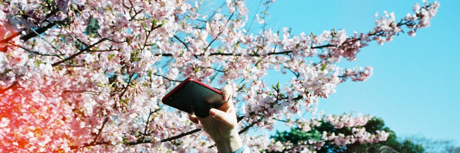 n_m_0427's profile banner image