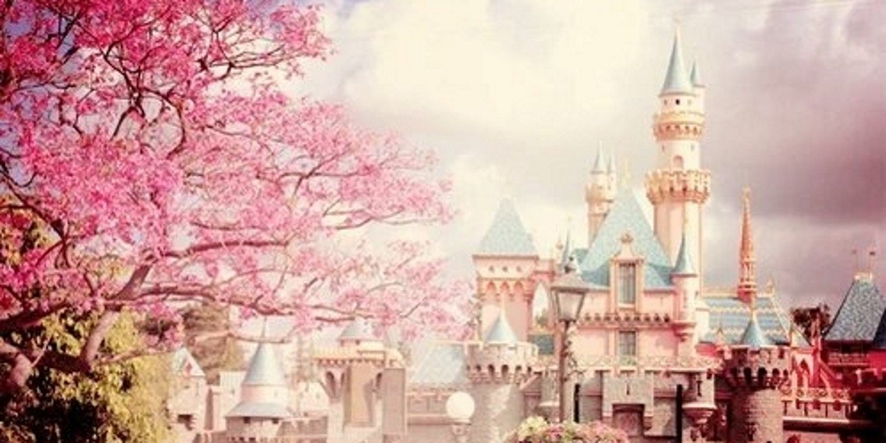sosanay14's profile banner image