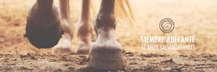 Protectora ADE banner