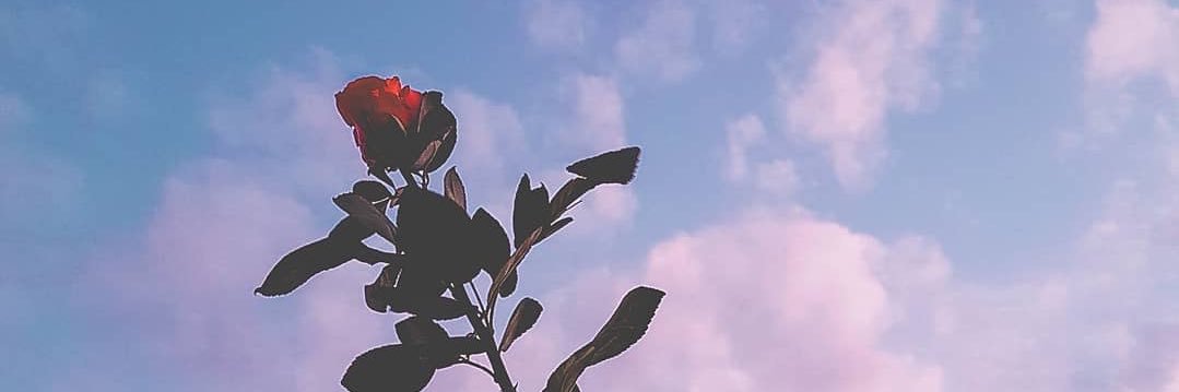 Month_CKU's profile banner image