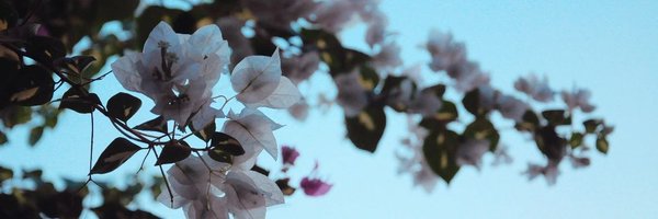 zerodaywo1f Profile Banner