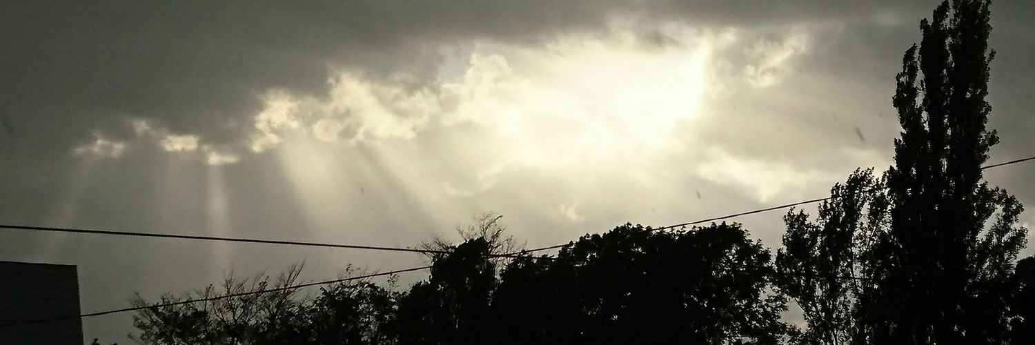 blackdariya's profile banner image