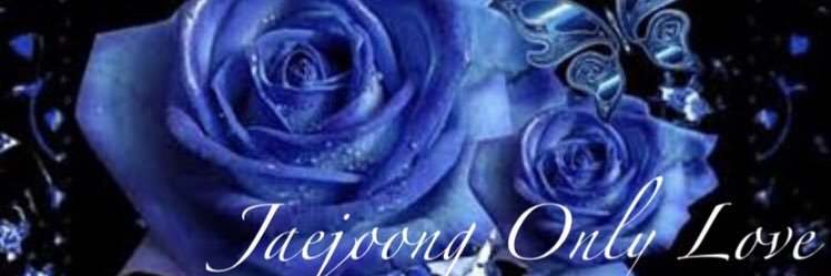 platina_wave's profile banner image