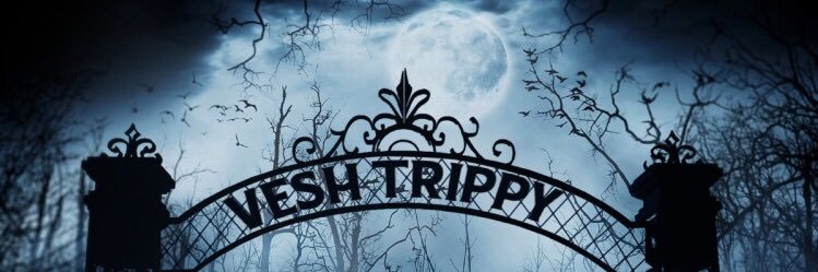 Vesh_Trippy's profile banner image