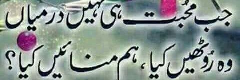 Urdu Poetry Shairi banner