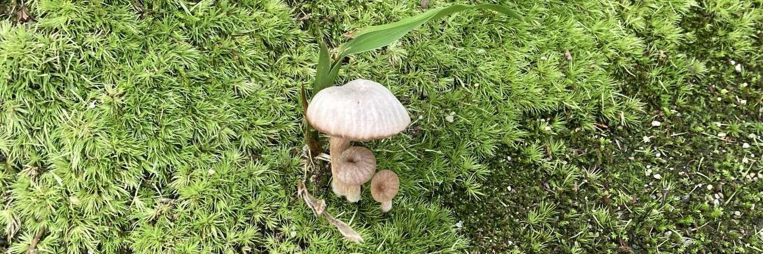 こまった様 banner