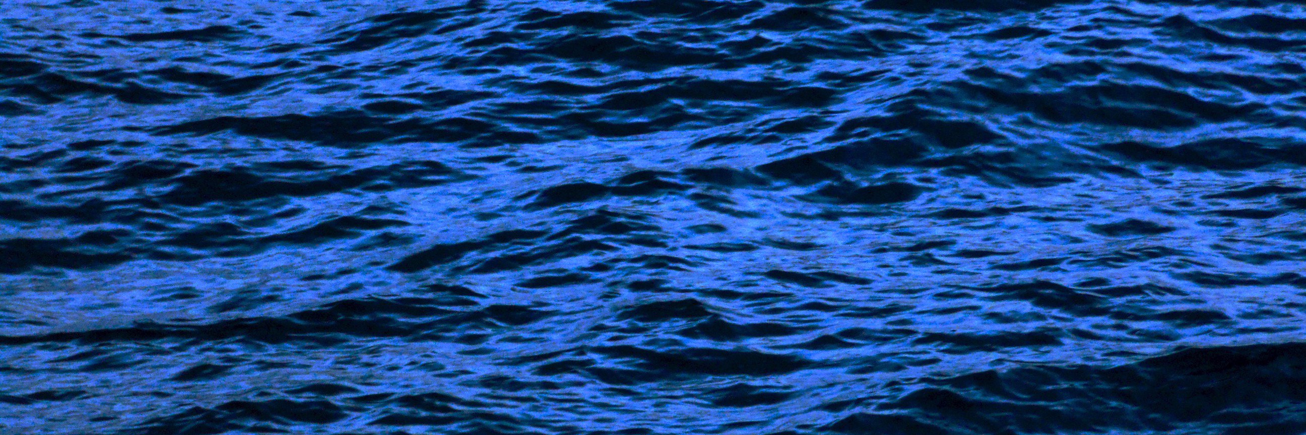 XFerragut's profile banner image