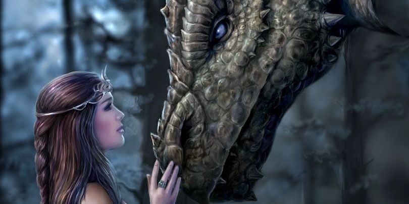 Dana_LIB's profile banner image