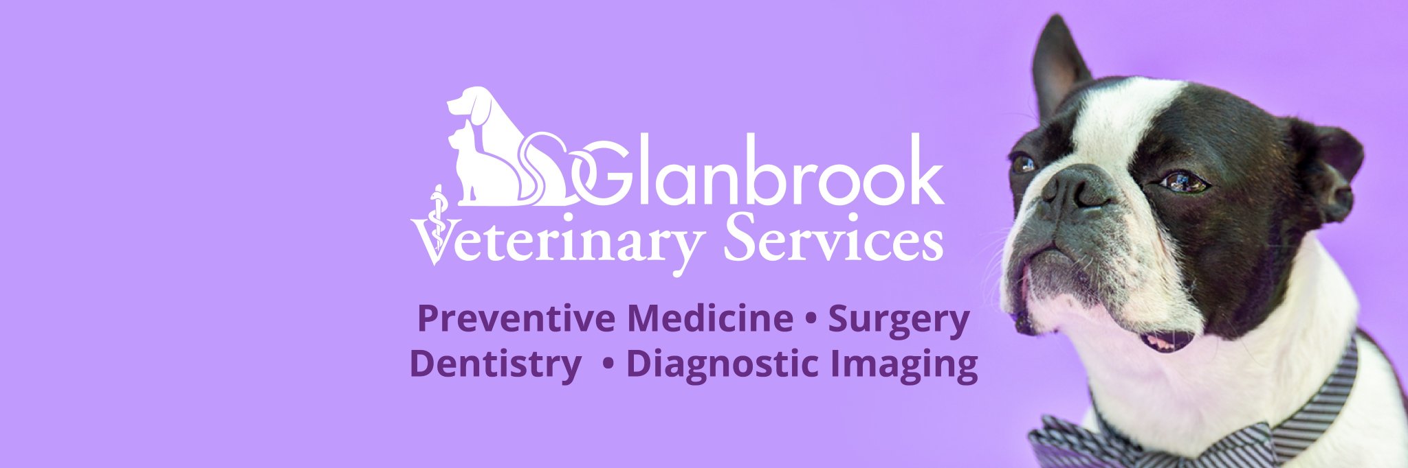 GlanVet's profile banner image