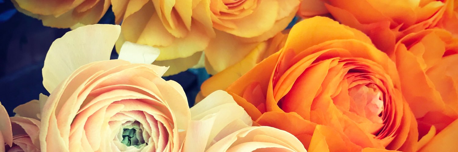 NOONFLOS's profile banner image