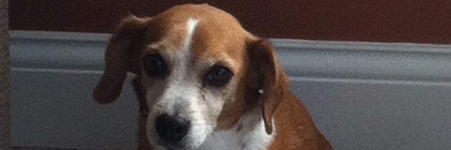 dougp24's profile banner image