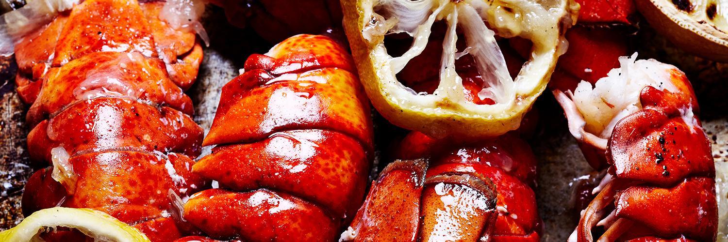 GastroLujuria's profile banner image