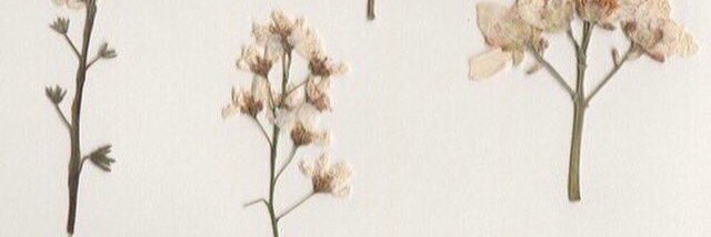 franciayeh's profile banner image
