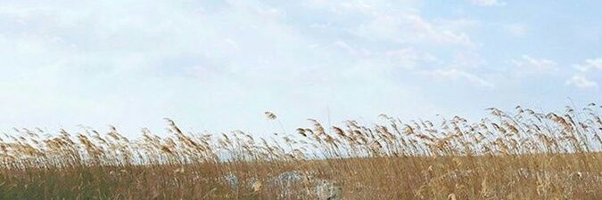 _batrishia's profile banner image