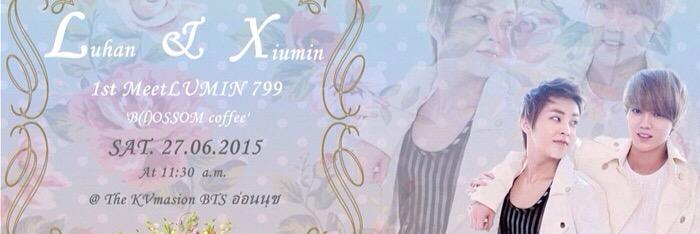 MeetLUMIN's profile banner image