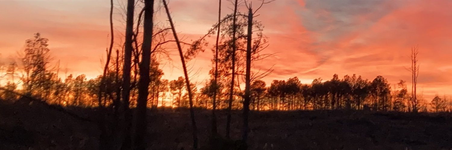 JLynnCalley's profile banner image