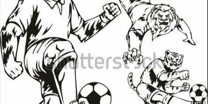 leonespsuarez's profile banner image