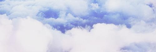 Sam banner