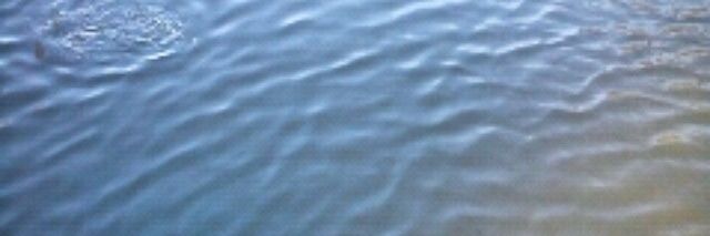 RxmishaA's profile banner image