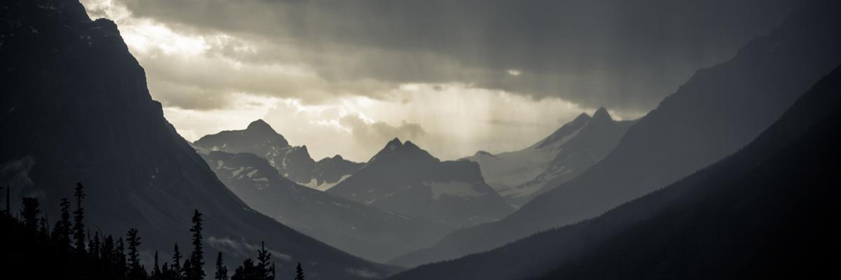 CaleBest's profile banner image