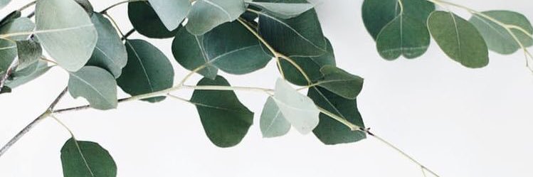 izziegman's profile banner image