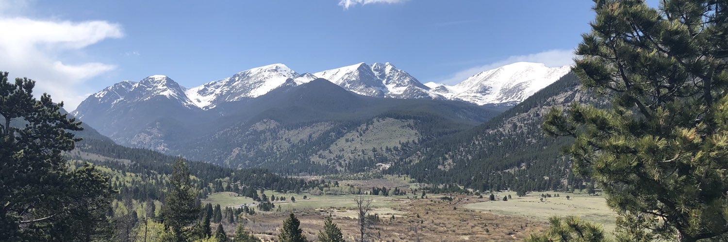 elansdell's profile banner image