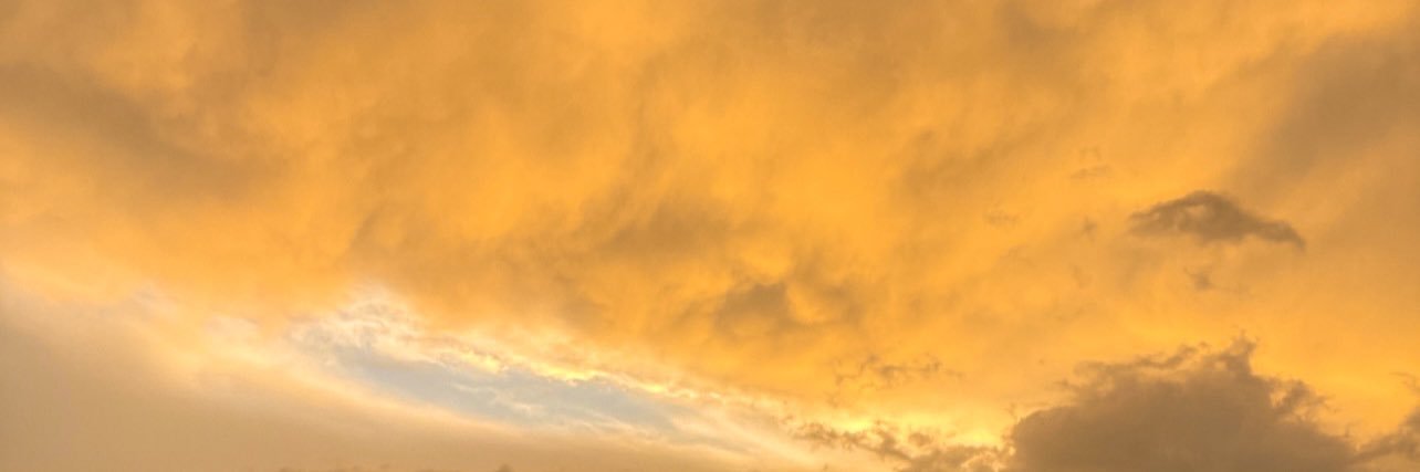 abbypel8's profile banner image