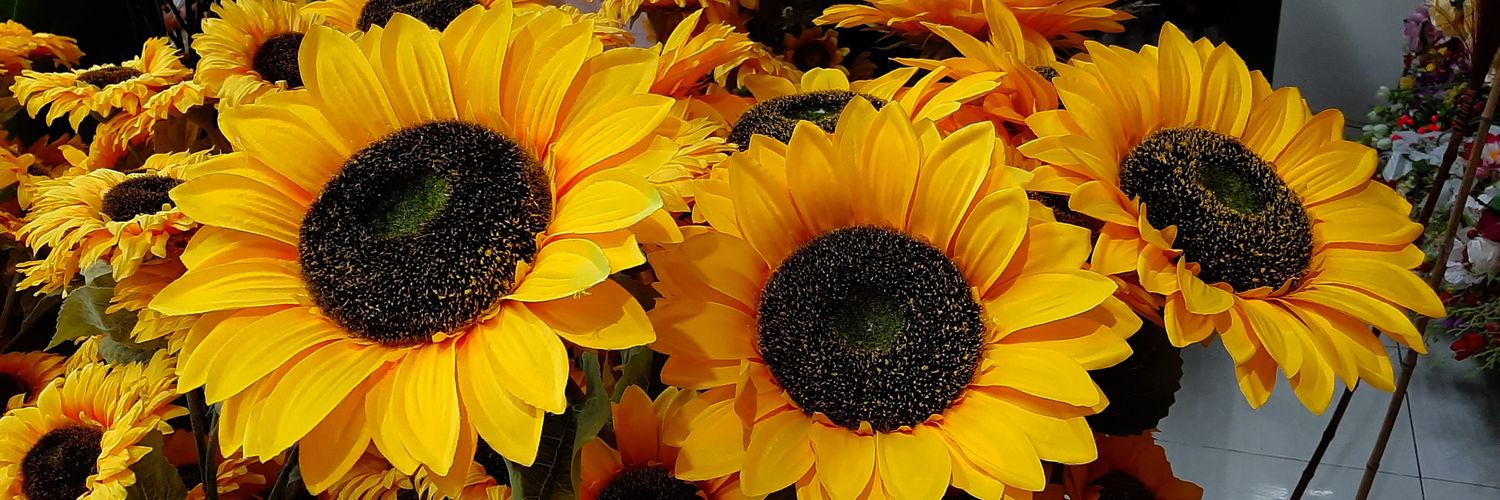 retno safitri banner