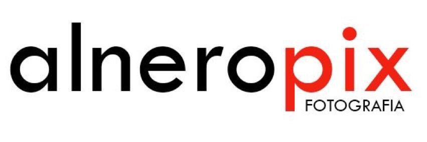 alneropix's profile banner image