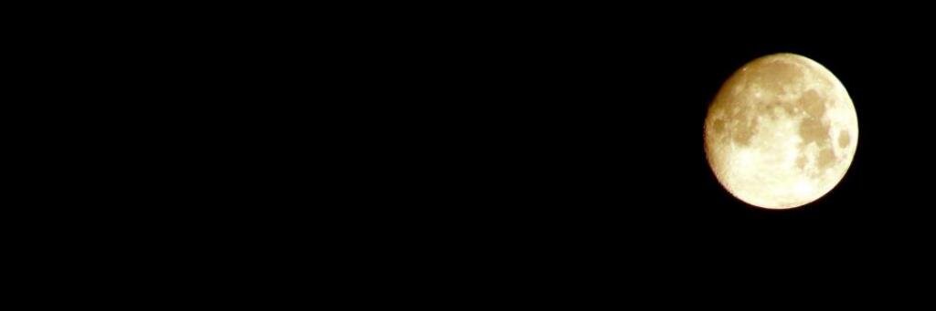 Ale_Riefolo's profile banner image