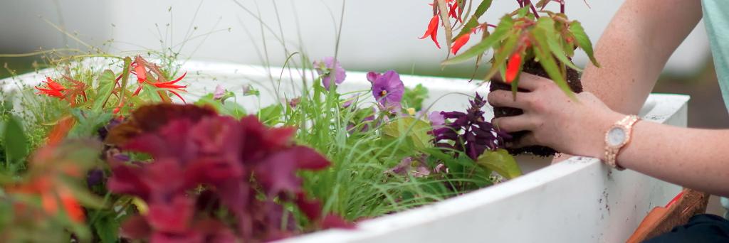 HortTherapyCBG's profile banner image