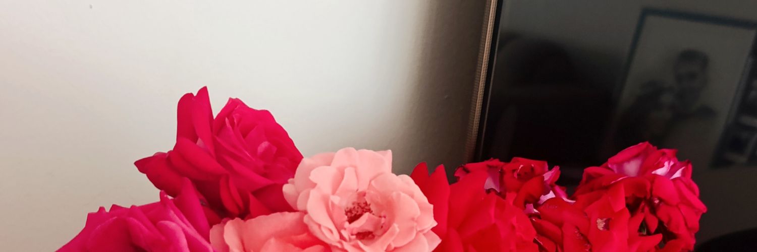 pdrsenhn's profile banner image
