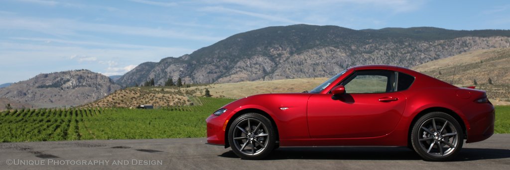 Unique Photography banner