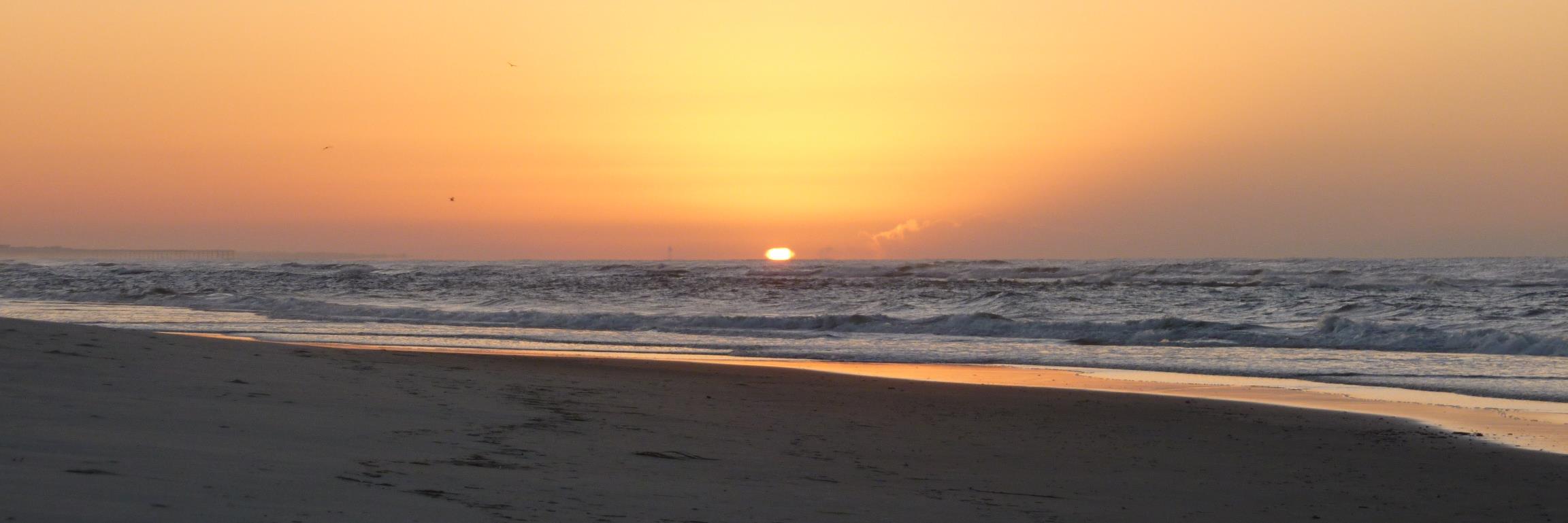 Sunset Vision banner